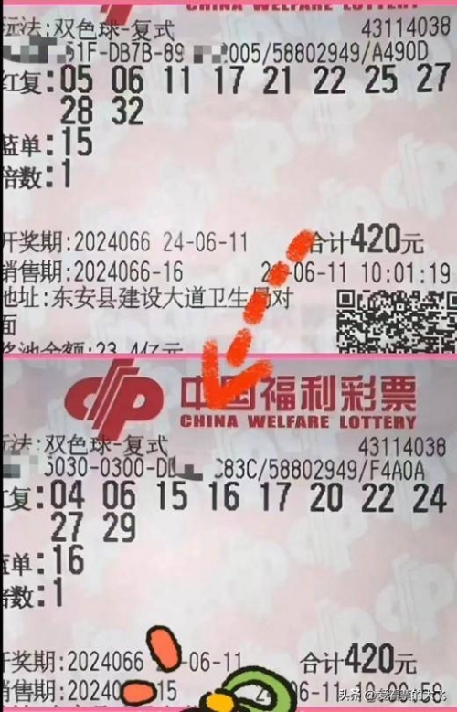 双色球开奖结果揭晓，56-第3张图片