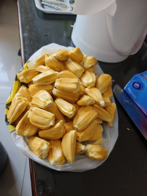 菠萝菠萝蜜手机网，探索科技新世界-第2张图片