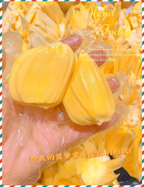 菠萝菠萝蜜手机网，探索科技新世界