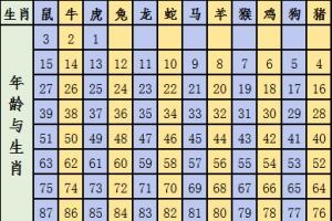 2024六会彩生肖卡对照表,12生肖号码卡换了没有2024六会彩生肖卡对照表详解-第2张图片