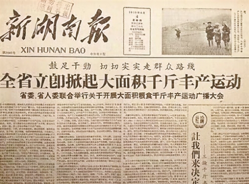 新报跑狗新报跑狗，新闻热潮下的新探索-第2张图片