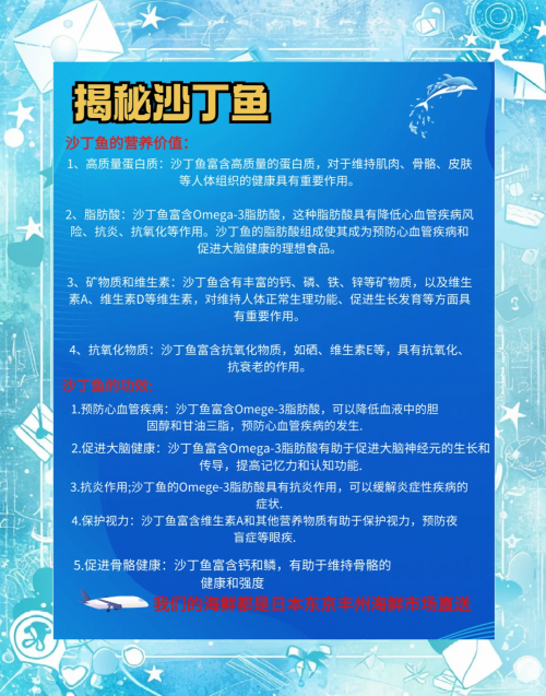 沙丁鱼之海，海洋中的生命奇迹-第1张图片