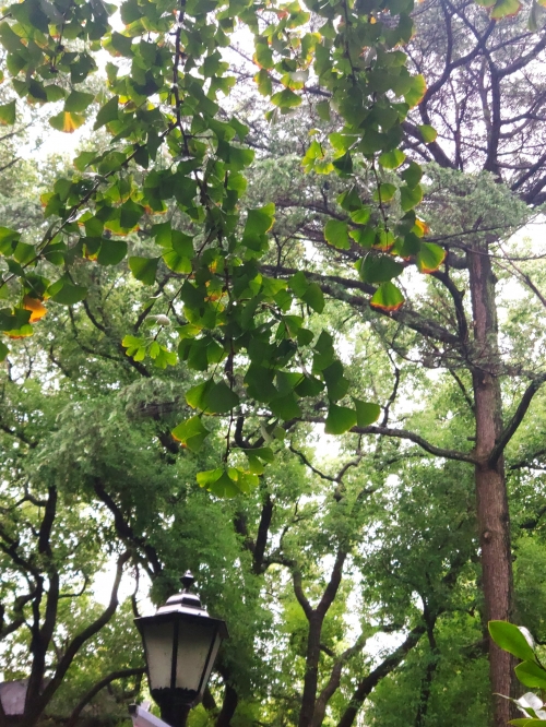 新乡住宿体验，寻找舒适的住宿之地