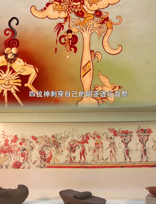 玛雅网 Maya，神秘文化的瑰宝