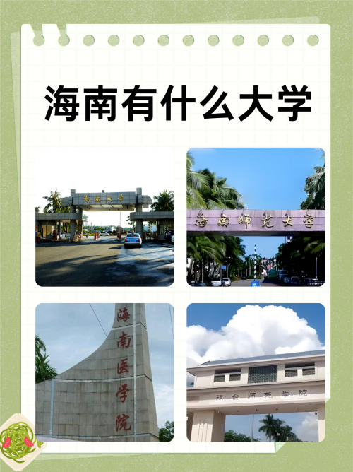 海南有大专学校有哪些-第2张图片