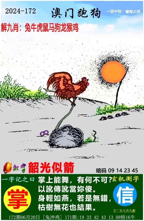 新澳门开奖结果新澳彩开奖记录2023年最新结果