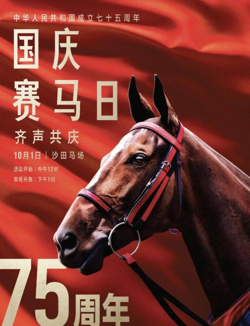 香港马会最新通知，关于赛马活动的最新安排与政策解读