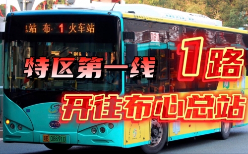 特区总站正版资料免费大全特区总站，开放与发展的前沿-第1张图片