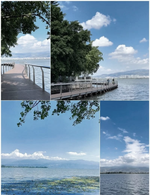 海上花园酒店，海上的明珠与奢华体验