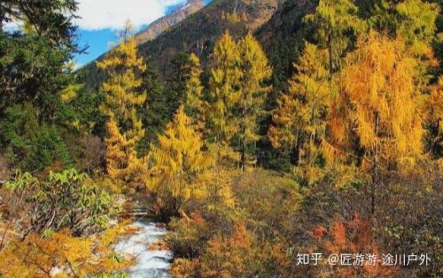 百度搜索天空彩与你同行天空彩与你同行