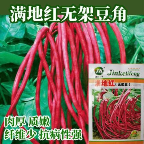 满地红满地红-第2张图片