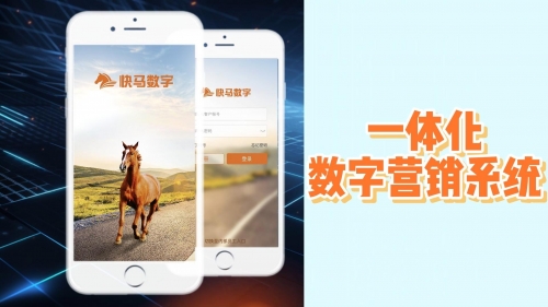 买马网站买马网，引领马匹交易新风潮-第1张图片