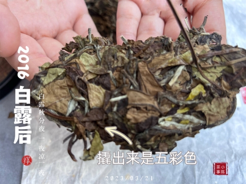 福州茶叶福州茶叶，历史与文化交织的美妙之韵