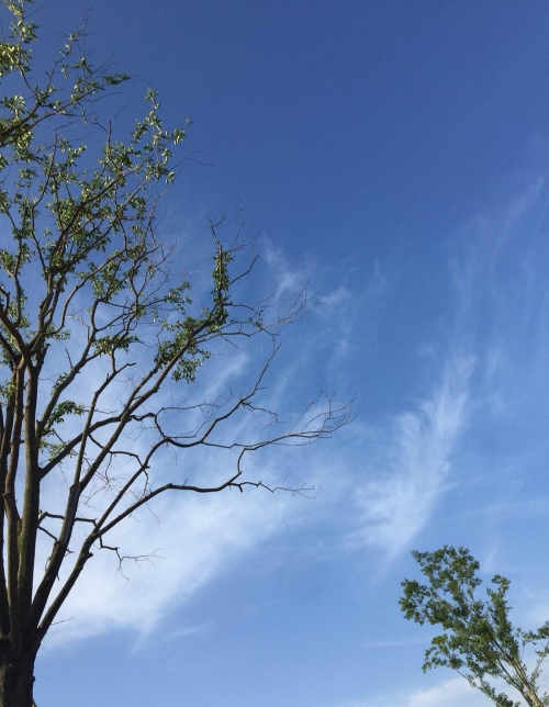 徐州一日游景点自驾游徐州一日游自驾游攻略-第2张图片