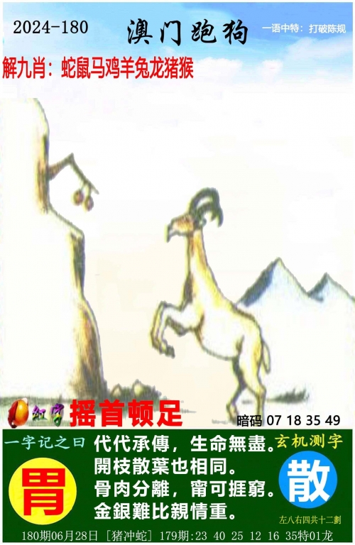 管家婆三期必开一期精准G49