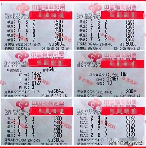香港慈善网开奖号码查询香港慈善网开奖活动概述