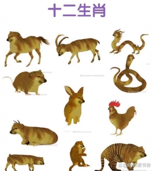 败寇成王，生肖揭秘