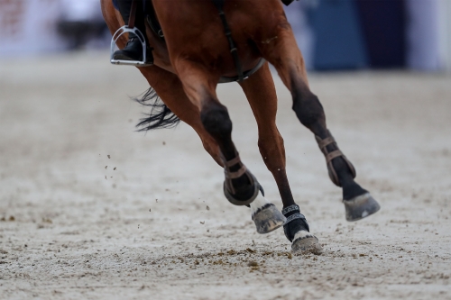 2019香港马会全年资枓大全2019香港马会全年资枓大全-第2张图片