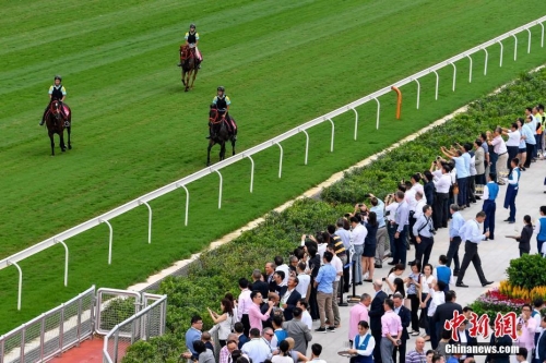 香港赛马会的开奖记录香港赛马会开奖结果揭晓，激动人心的时刻-第1张图片