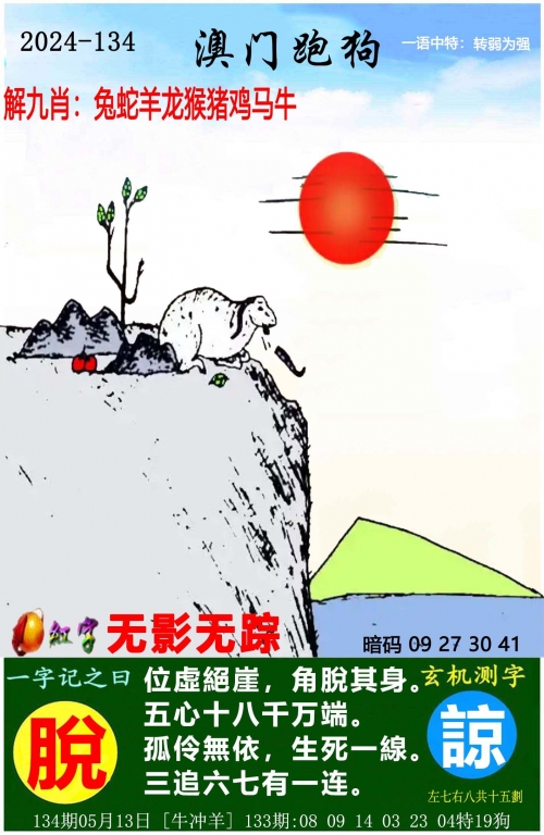 二四六天天玄机图资料概述-第2张图片