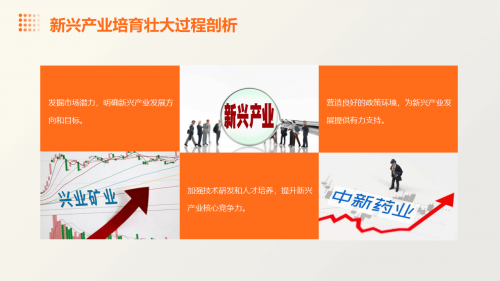 金顺网络，引领数字化新时代