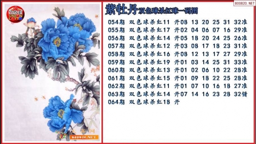 澳码精准100%一肖一码最准肖双色球开奖结果澳码精准100%一肖一码最准肖，揭秘精准预测