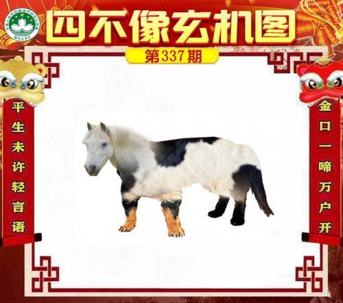 2023今晚澳门必中一肖一码2023澳门必中肖码一肖一码攻略-第1张图片