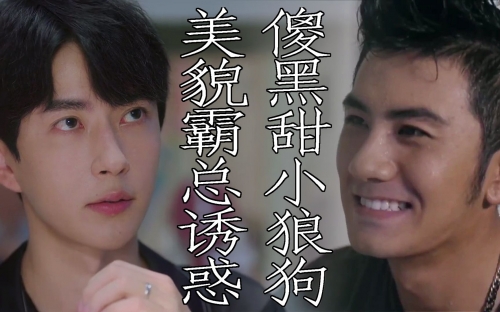 小狼狗心水论坛小狼狗心水论坛，探索犬类爱好者的乐园-第2张图片