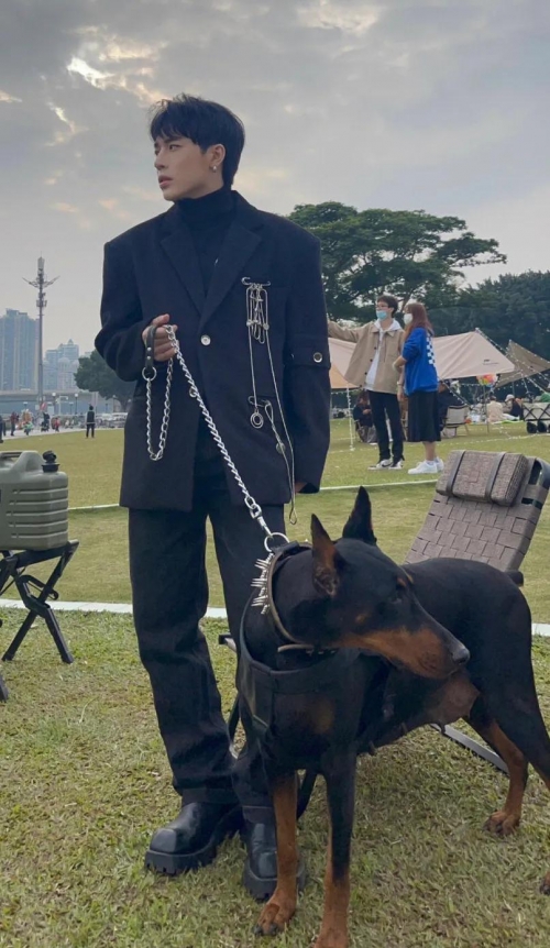 小狼狗高手论坛小狼狗高手论坛，探索犬类爱好者的乐园-第2张图片