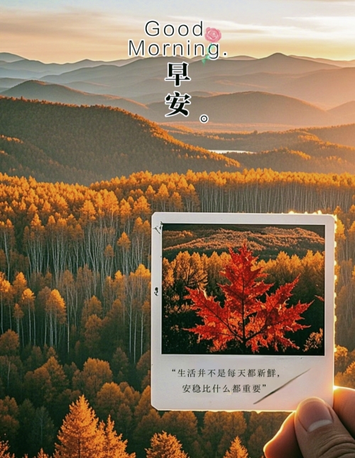 快乐十分快乐十分，生活中的甜蜜时刻-第2张图片
