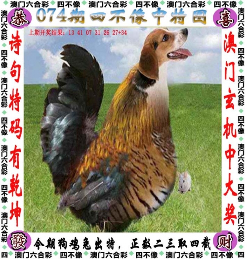 澳门免费开奖大全，49图库揭秘-第3张图片