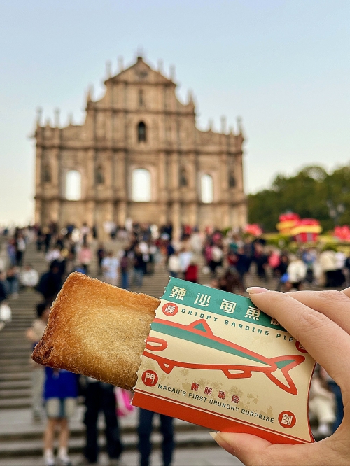 澳门最精准免费资料大全旅游景点新澳门免费资料大全，历史记录与开马-第2张图片