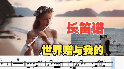 中国音乐伴奏网免费下载中国音乐伴奏网，探索音乐世界的新窗口-第2张图片