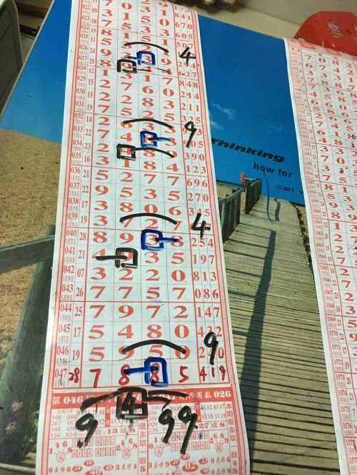 七星彩特区网论坛好事成双七星彩特区网，彩市新篇章-第1张图片