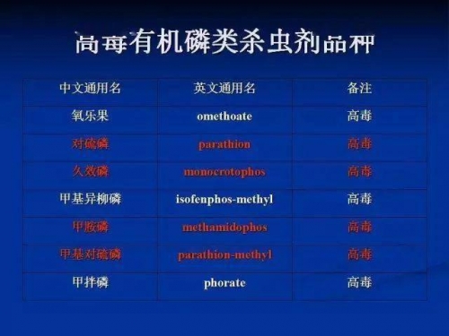 6269澳彩免费资料大全626969澳彩资料大全2021年老玩家指南-第3张图片