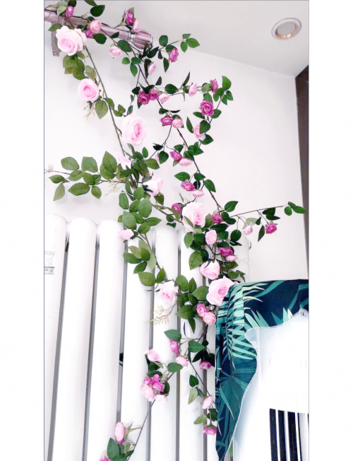 花藤之名