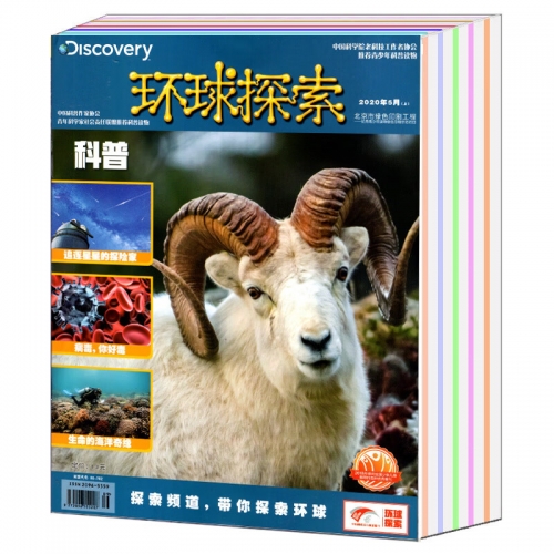 2021全年资料免费大全下2021全年资料免费大全-第2张图片