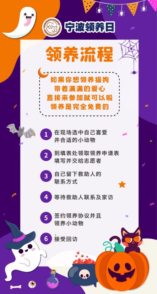 毛皮搜集专家毛皮搜集专家，探寻皮毛世界的奥秘-第2张图片