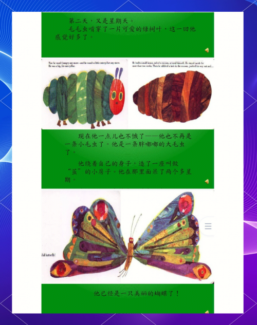 毛皮搜集专家毛皮搜集专家，探寻皮毛世界的奥秘-第3张图片