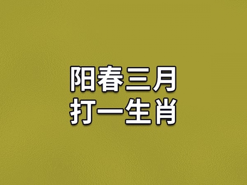 三流九教江湖客打一最佳生肖——龙