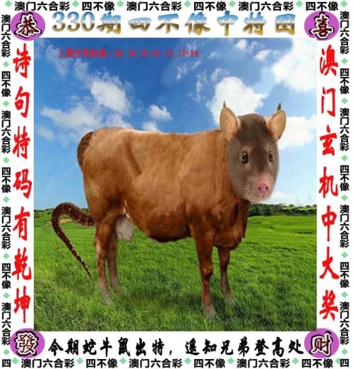 管家婆一肖一码澳门码资料简介-第1张图片