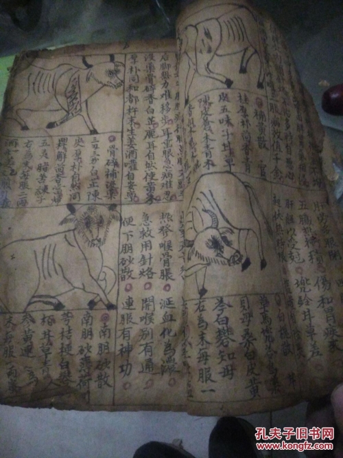 马经258图库马经258图库，探索古代马匹知识与图谱的宝库
