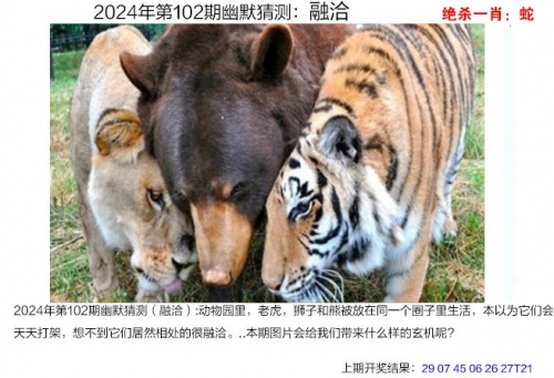王中王独家发表:免费资料大全,2019免费王中王免费大全宝典资料-第2张图片