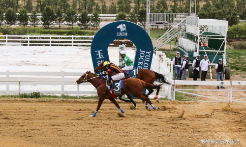 2021马会资料精选免费大全2019正版马会资料大全