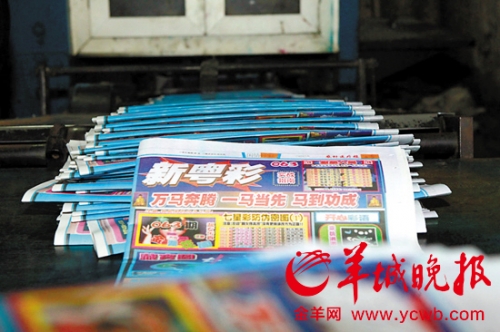 新粤彩1000新粤彩100，引领粤彩新篇章-第1张图片