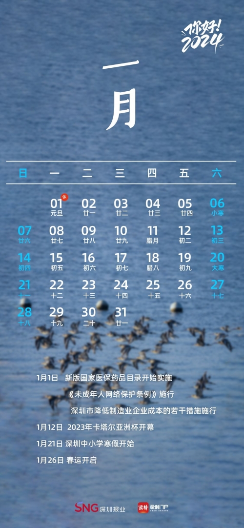2024年澳门精准免费大全