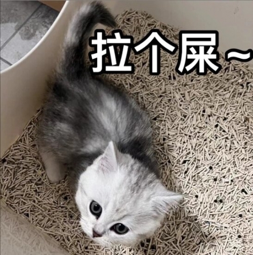 快猫的最近链接KM8KW