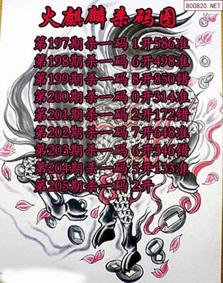 2023一码一肖200期预测揭秘-第3张图片