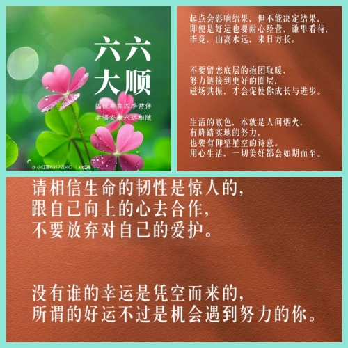 2022年6月最吉利的日子2022年6月最吉利的日子