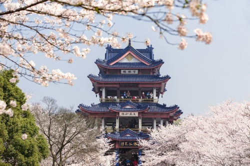 新余景点哪里好玩新余景点介绍